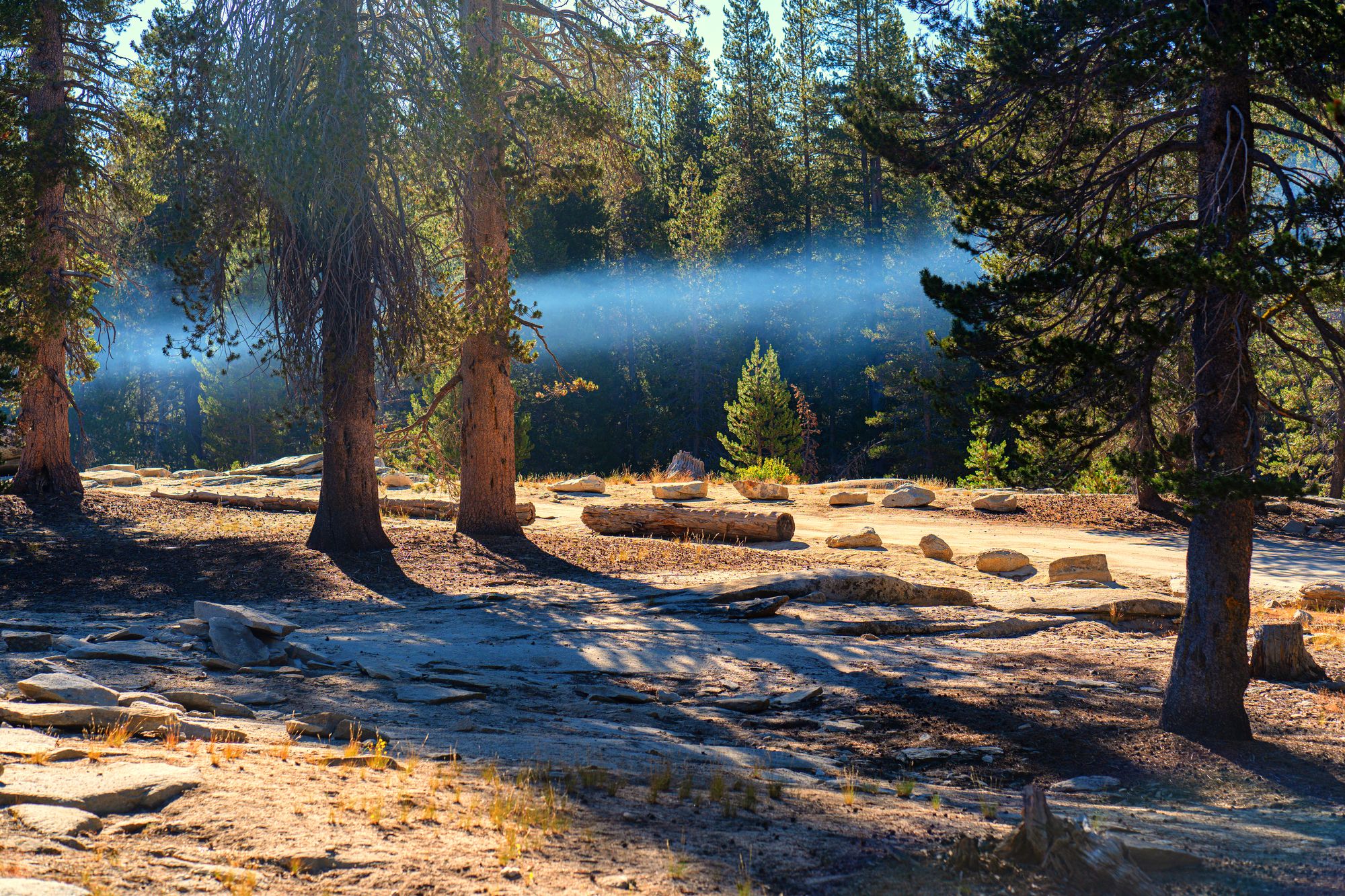 Early morning sunlight highlights a thick band of campfire smoke in Sequoia National Park.