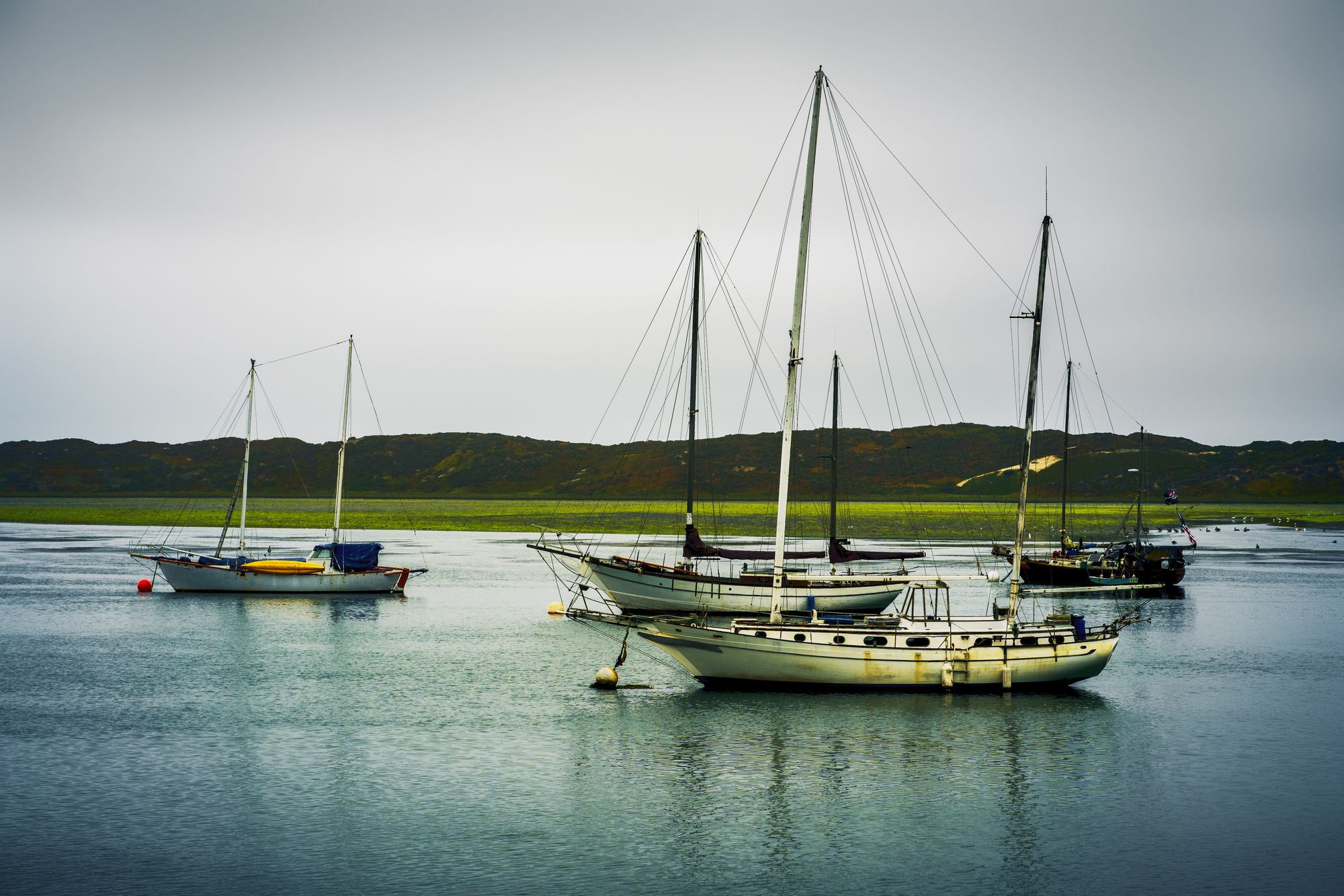 Romancing the Central Coast