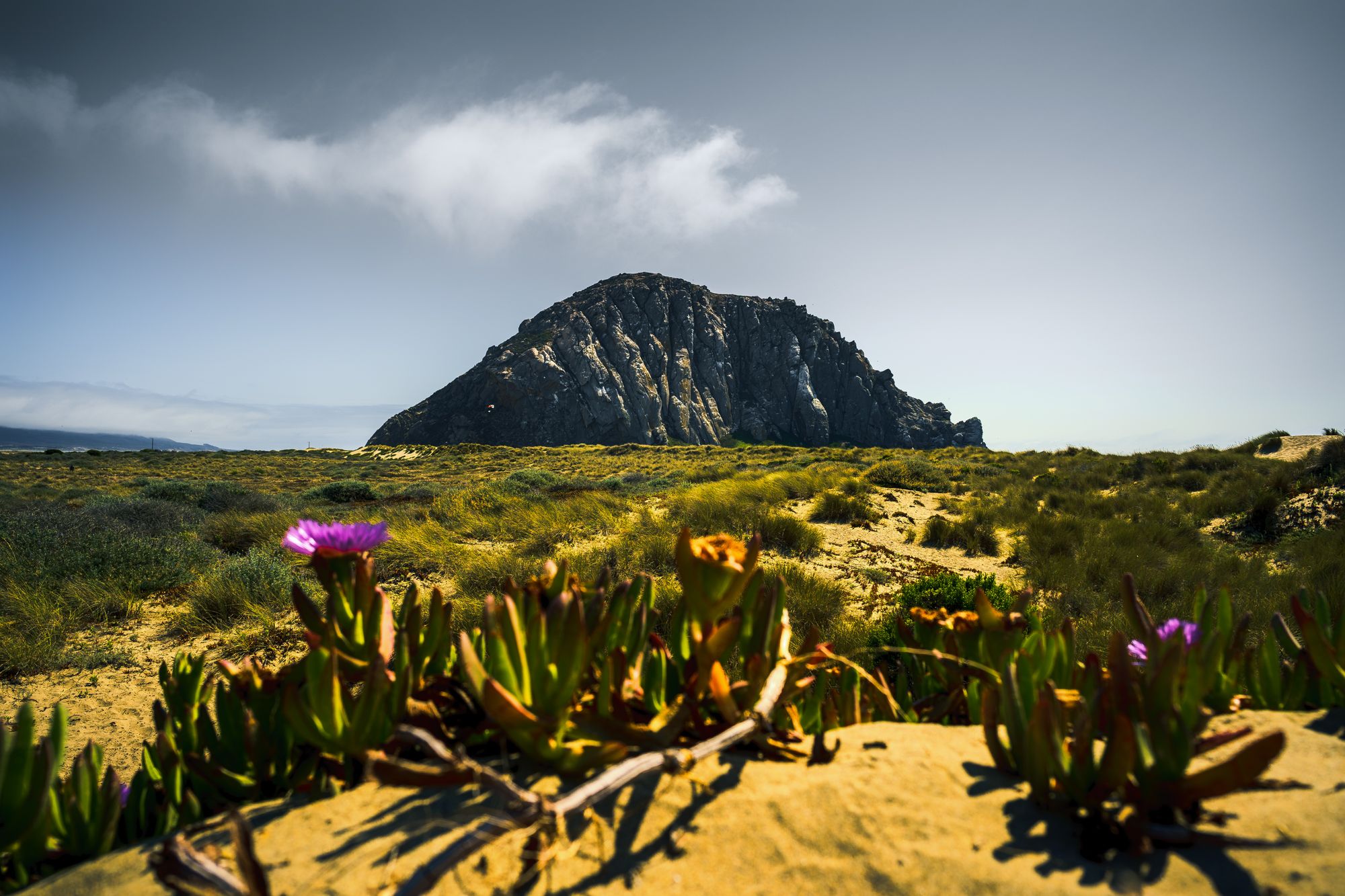 Romancing the Central Coast