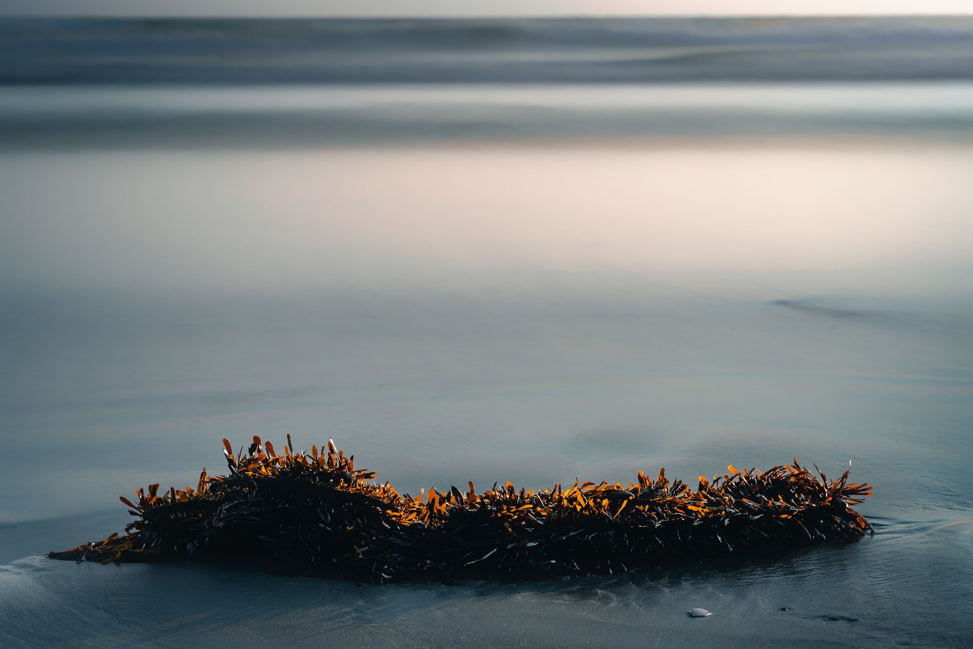 Romancing the Central Coast