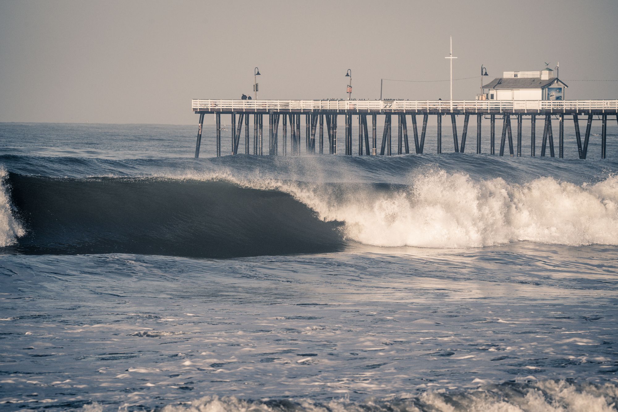 The promise of the big swell