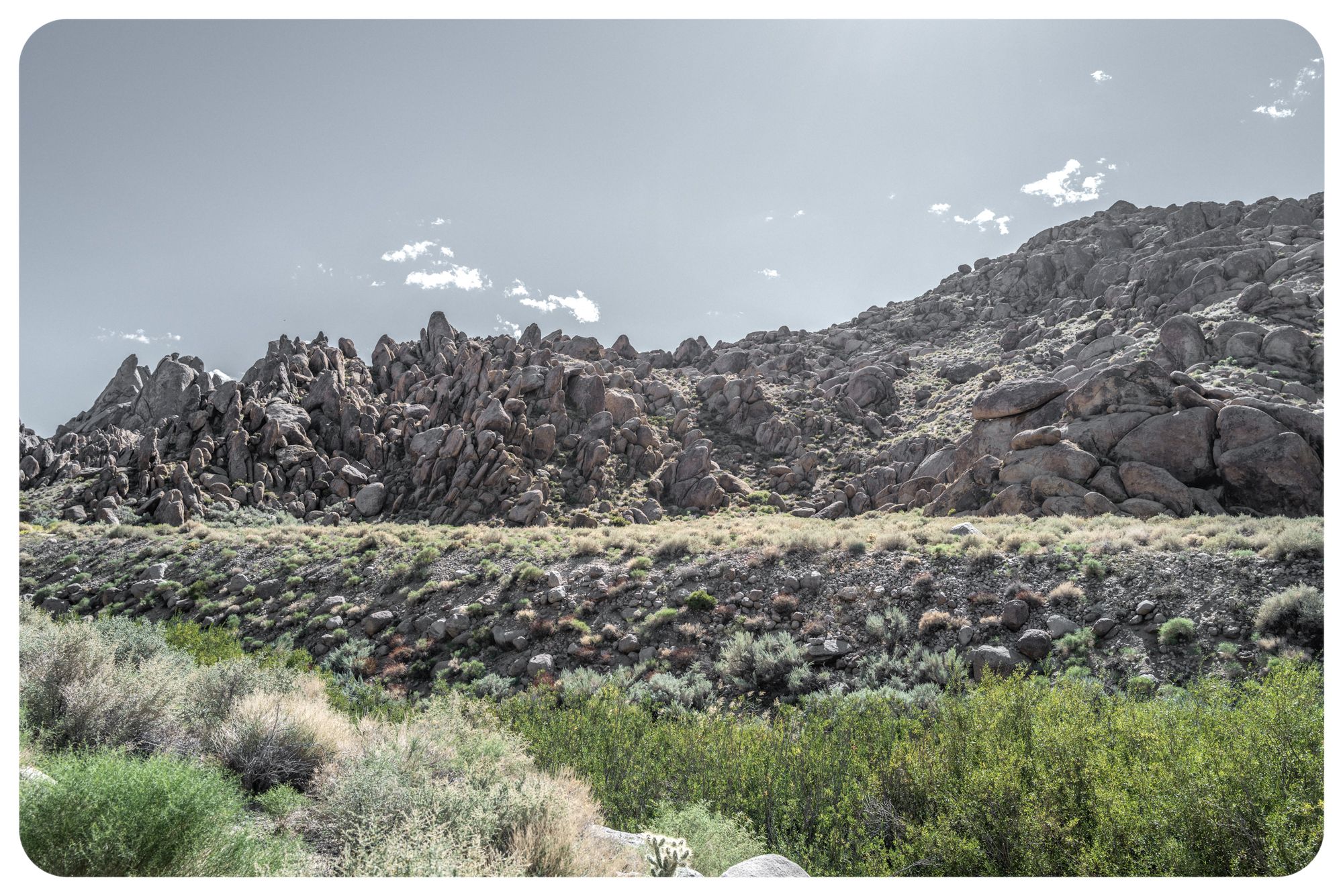 Eastern Sierra offers treasure for those seeking bounty