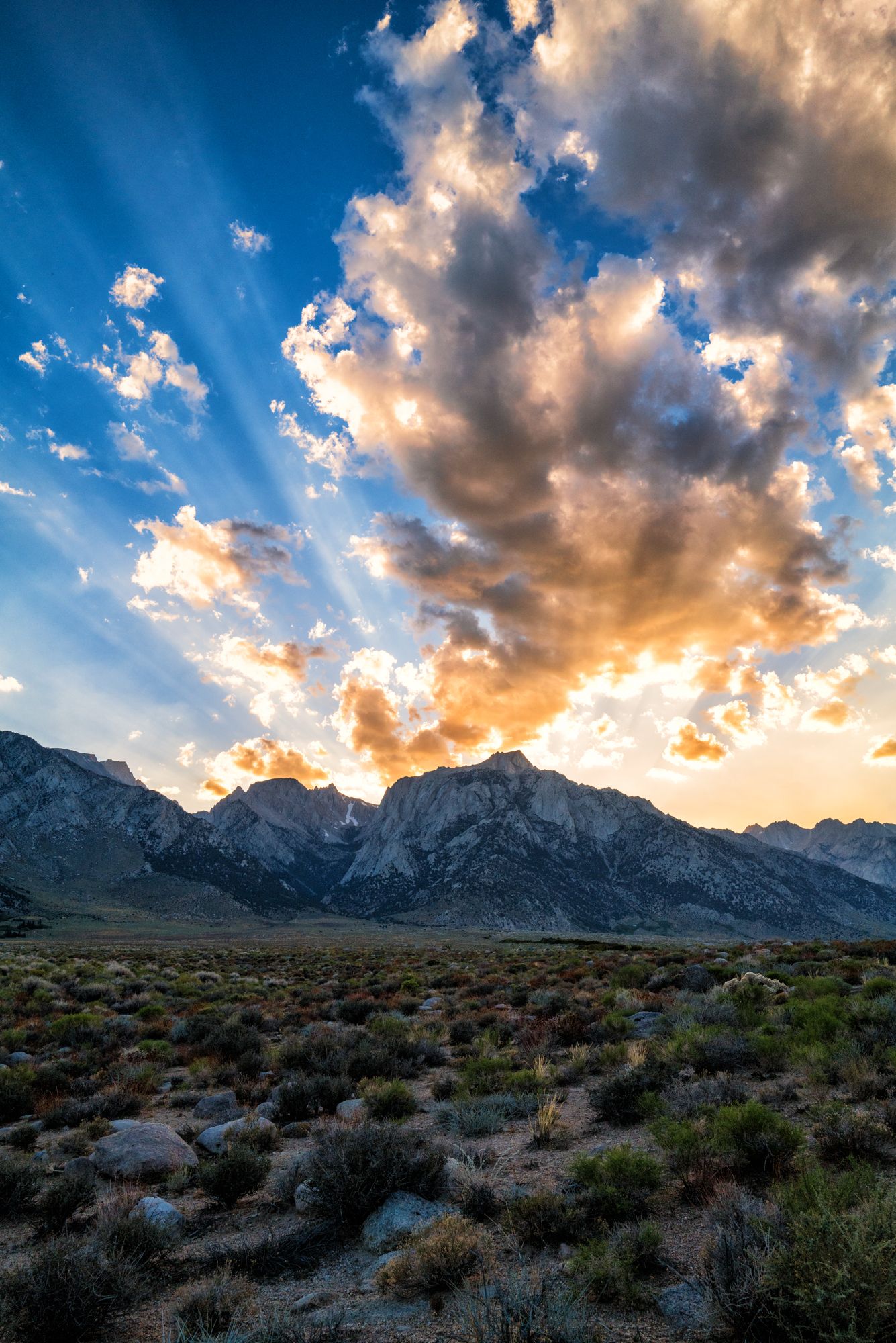 Eastern Sierra offers treasure for those seeking bounty