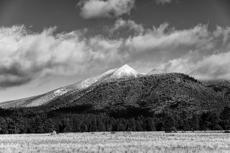 Flagstaff: A gem with ties that bind