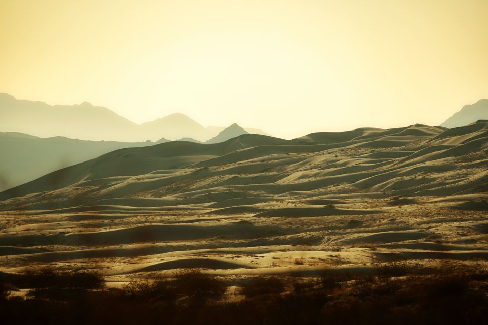 Mojave: Land of the original dad joke