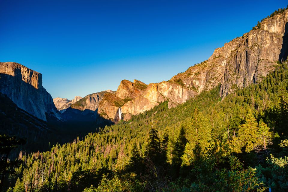 The Yosemite pandemic experience