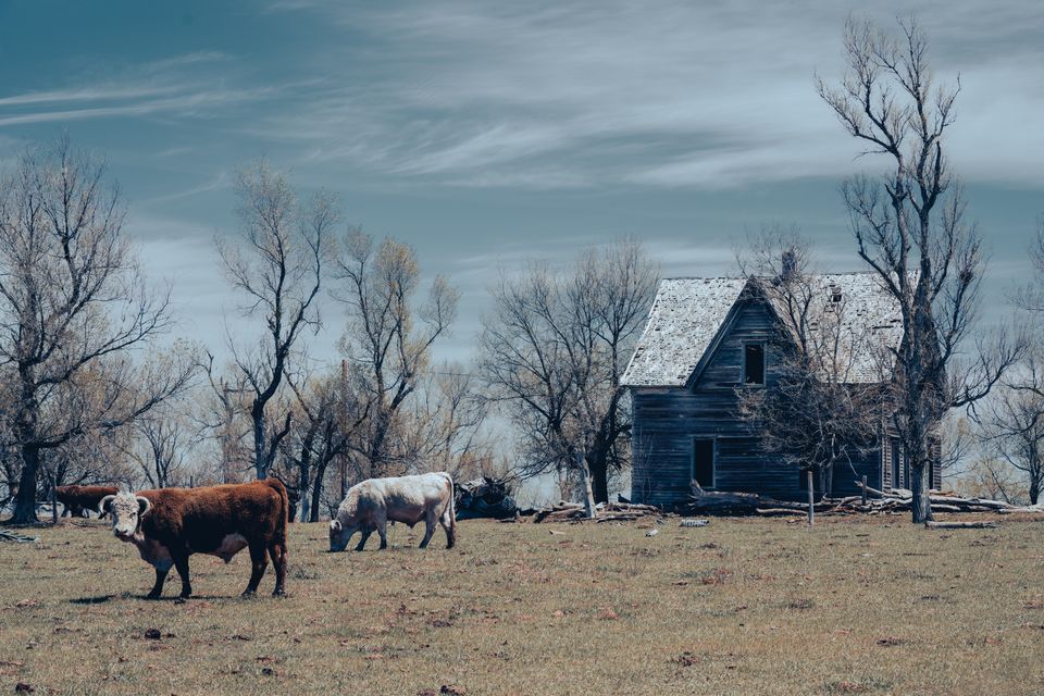 The haunted homesteads of Nebraska's prairie